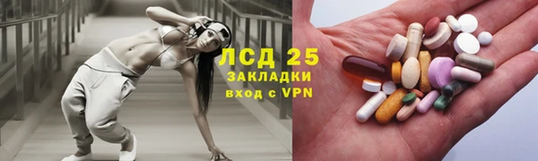 spice Богданович